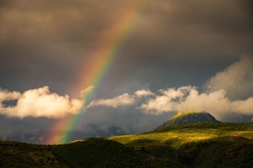Let There Be Light