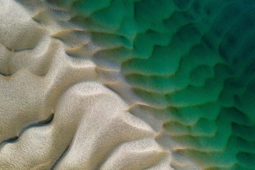 Coastal Revelations