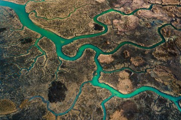 River Delta Winding