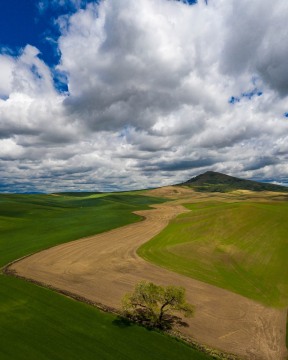Steptoe Butte Aerial