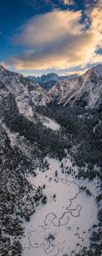 Mountain Meadow Morning