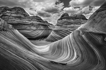 Monochrome Wave