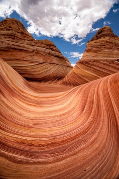The Wave #1