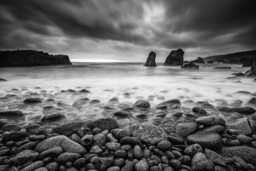 The Cove