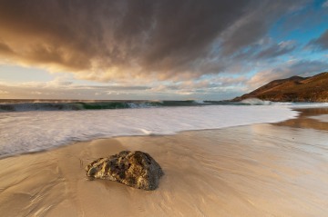 Big Sur's Golden Shores #1