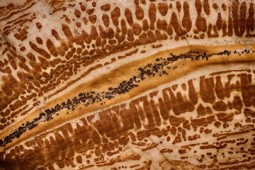 Geologic Braille