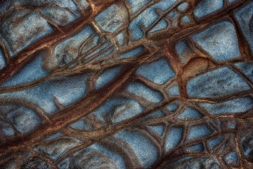 Veins of Stone #3