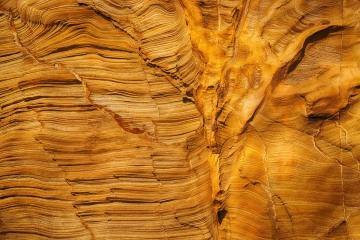Golden Wall at Yellowbanks
