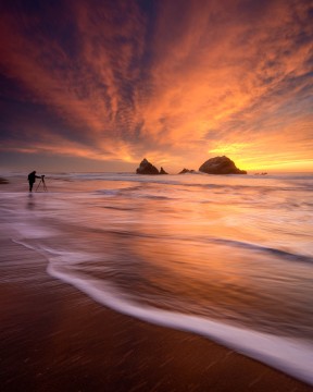 In the Element of a Sunset