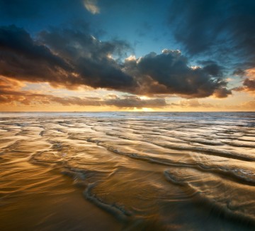 Golden Shores