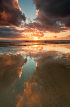 San Gregorio Reflections