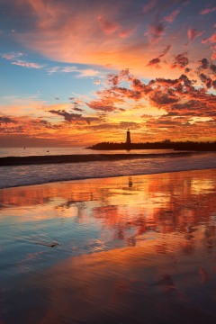 Rorschach Sunset