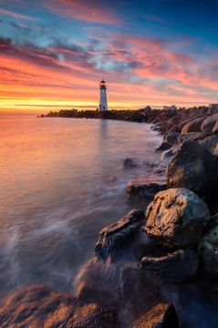 A Morning in the Harbor