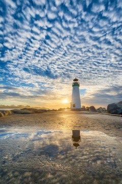 Morning at the Harbor