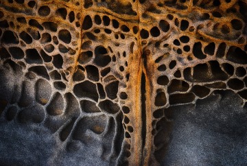 Tafoni Patterns