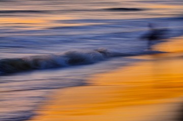 Phantom Surfer