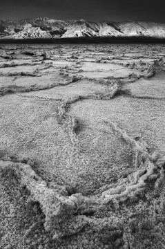 Serpentine Salt #2
