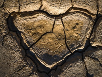 Desert Heart