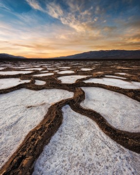 The Winding Path