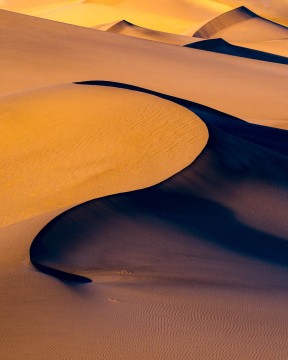 Dune Light