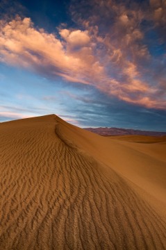 Desert Light #1