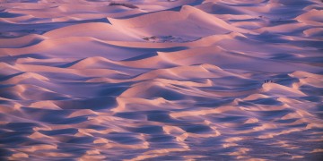 Mesquite Dunes Morning Glow
