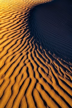 Mesquite Dune Patterns at Sunset