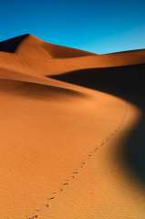 Dune Prints