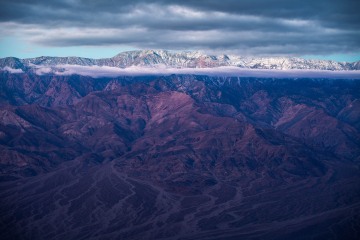 Purple Panamint Majesty