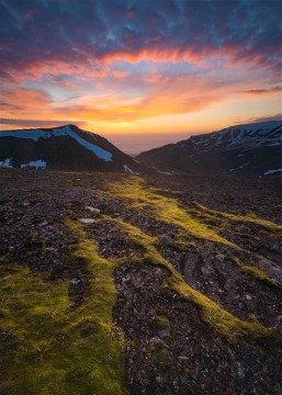 Never Ending Sunrise