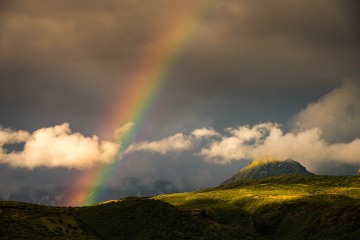Let There Be Light