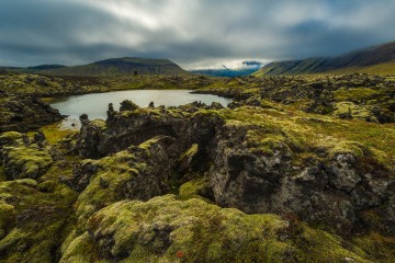 Valley of Green