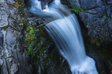 The Drop