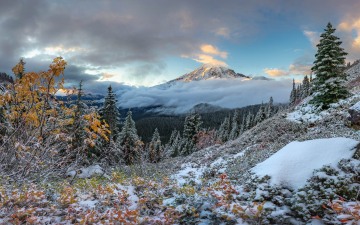 Fall into Winter