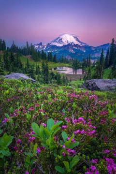 Peak in Pastel