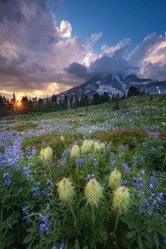 Beauty and the Mountain