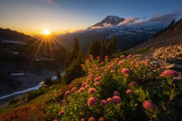 Summer Sundown
