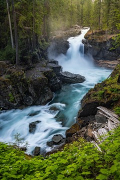 Silver Falls in Spring