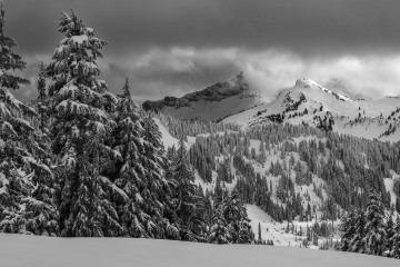 Winter's Coat