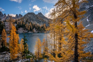 Golden Larches, Blue Lake