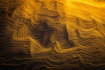 Beach Etchings
