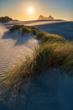 The Path to Gratitude