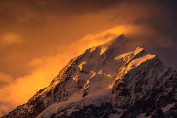 Above the Ashes