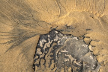 Purakaunui Beach Swirl