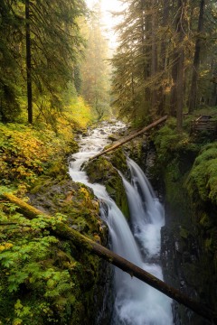 Sol Duc Falls Fall Color