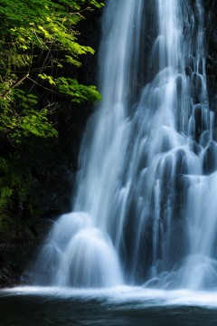 First Light on the Falls