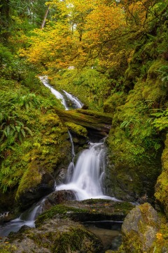 Fletcher Canyon in Fall