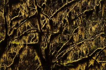 Unfolded
