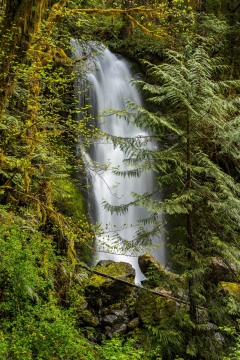 Olympic-National-Park-Merriman-Falls-1
