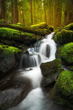 Sol Duc Cascade